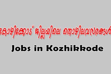കോഴിക്കോട് ജില്ലയിലെ തൊഴിലവസരങ്ങള്‍ : Jobs in Kozikkode – 30 June 2022