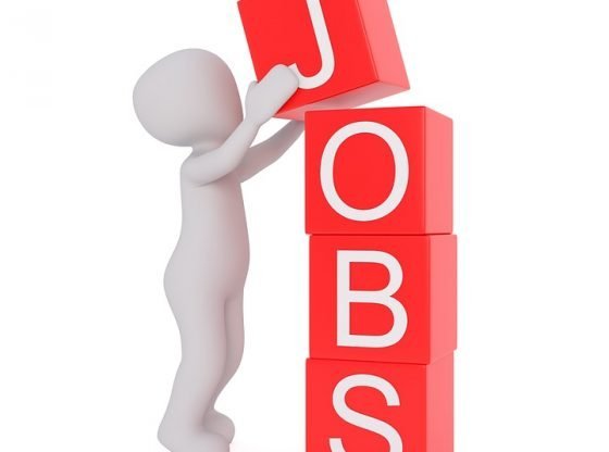 Job-560x416