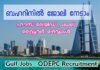 Recruitment of Housemaids, Cook and Drivers to Bahrain