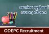 ഒഡെപെക്ക് മുഖേന ഒമാനിലെ സ്കൂളിലേക്ക് സൗജന്യ നിയമനം | ODEPC Recruitment Oman