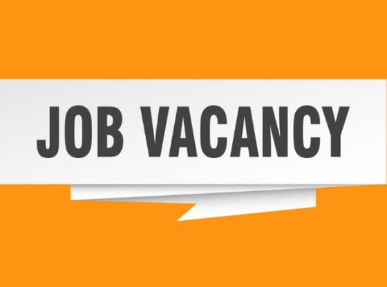 job-vacancy-560x416