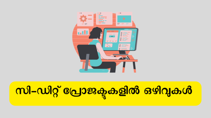 Cdit it jobs