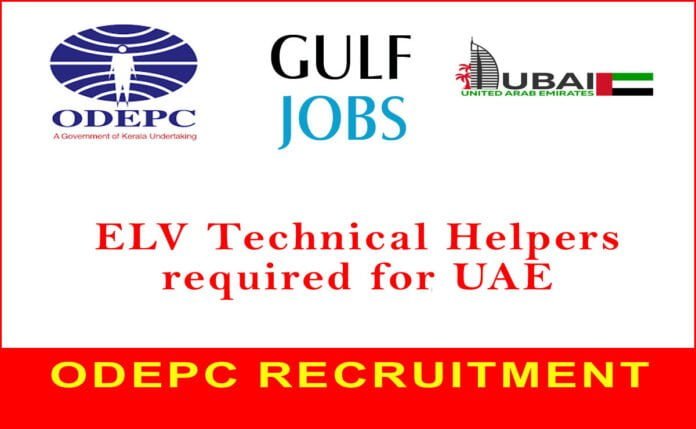 ELV-Technical-Helpers-requi