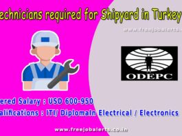 Technicians required for Shipyard in Turkey