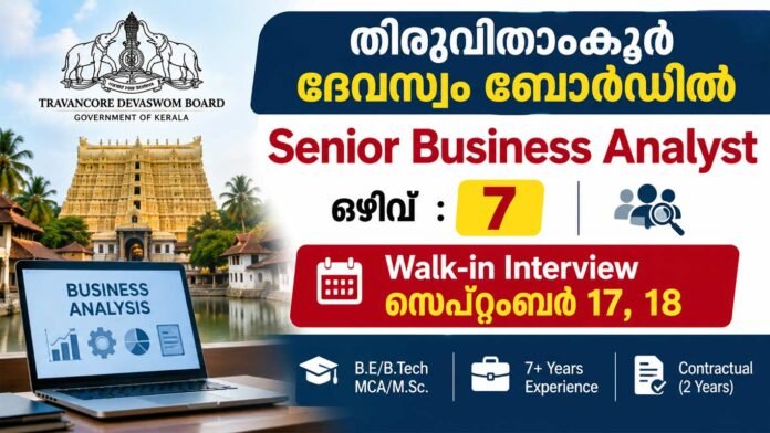 senior business analyst